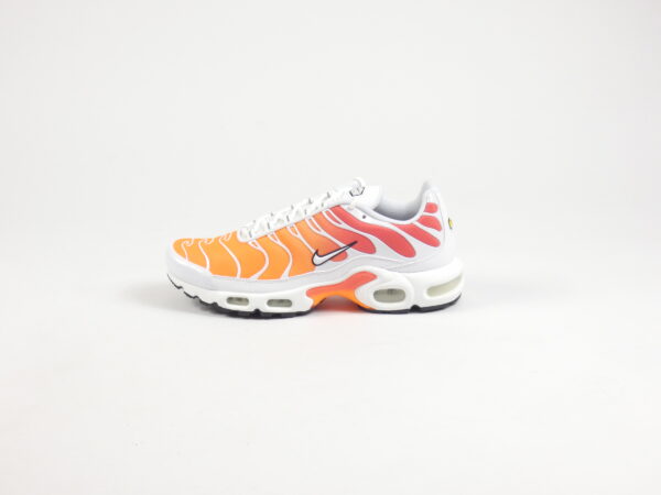 Nike Air Max Plus